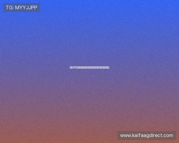 凯发K8平台现金开户流程优化,提升用户体验与操作效率