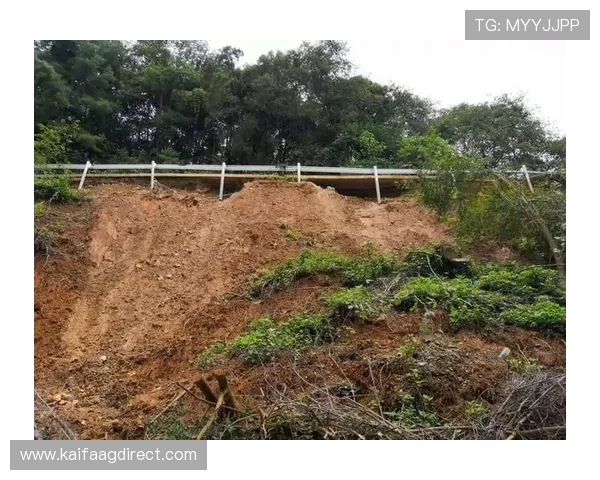 K8手机登录遇到账号异常或被封的应对措施与安全保护建议