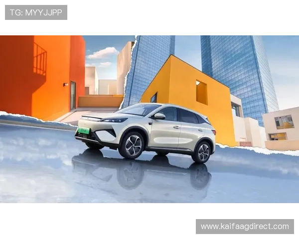 凯发k8天生赢家一触即发开启全新竞技体验，助你轻松赢取丰厚奖励